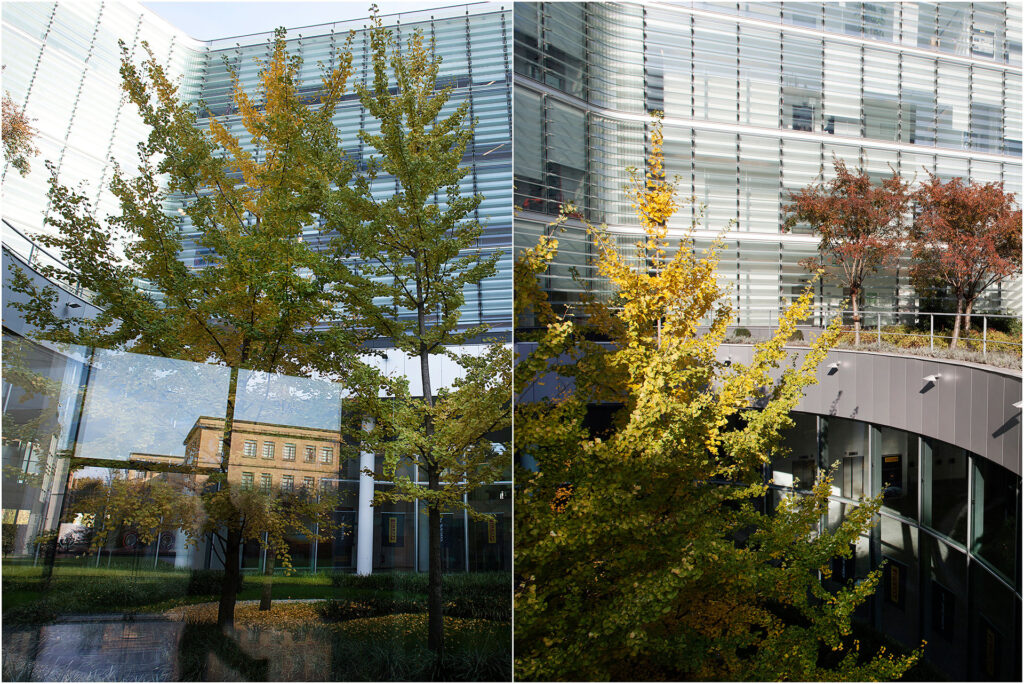 Pirelli Re Headquarters HQ2 Sede Milano Milan by SCE PROJECT